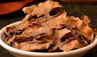 核桃分心木的功效（核桃分心木的功效与作用及食用方法）