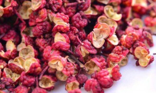 花椒功效（花椒功效作用与主治）