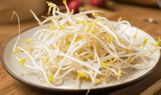 豆芽菜的功效与作用（豆芽菜的功效与作用以及营养价值）