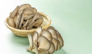 维生素b2的食物排行（维生素b2的食物排行前十名）