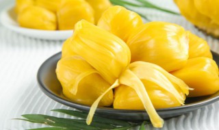 菠萝蜜的害处 菠萝蜜的害处与危害