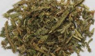 蜀羊泉的功效与作用 蜀羊泉的功效与作用图片