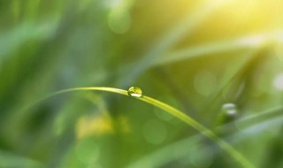 白露节气是几月份 白露节气是什么时候?
