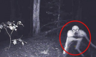 十大神秘生物 十大神秘生物未解之谜