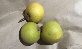 酸梨汤的功效与作用 酸梨汤的功效与作用及禁忌
