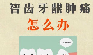 长智齿吃什么 长智齿吃什么水果好