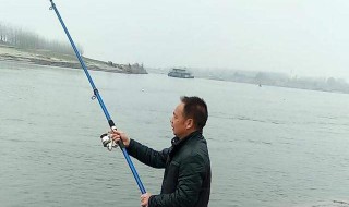 钓鱼线组搭配钓多大鱼（钓小鱼用多大线组）