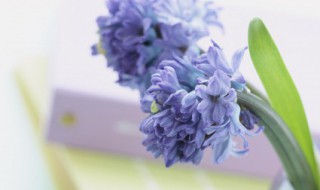 干净温柔签名短句 温柔个性短句干净签名