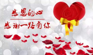 感恩节送老师什么礼物（感恩节送老师什么礼物手工）