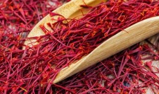 藏红花真假怎么鉴别 藏红花真假怎么鉴别图