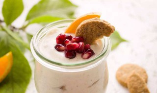 自己做酸奶用什么菌好 自己做酸奶用什么菌好吃