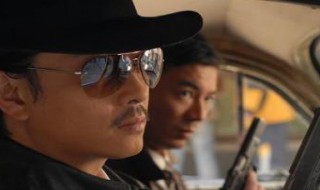 狐步谍影剧情介绍（狐步谍影电视剧简介）