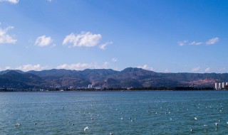 昆明哪些地方好玩 昆明哪些地方好玩又实惠