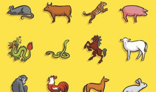 属鸡和属狗的适合做夫妻吗 属鸡和属猪的适合做夫妻吗