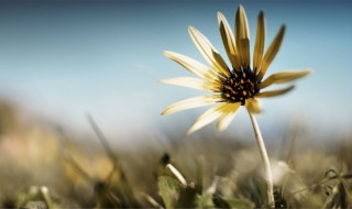 很霸气的句子 女人很拽很酷很霸气的句子