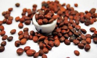 酸枣仁和柏子仁功效 酸枣仁和柏子仁功效与作用