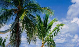 失恋安慰的话（失恋安慰的话简短）