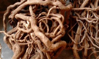 酸藤根的功效与作用 酸藤根泡水喝功效与作用