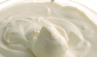 拉肚子可以喝酸奶吗 猫咪拉肚子可以喝酸奶吗