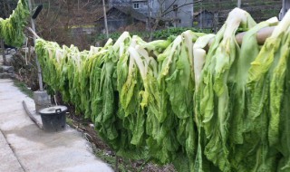 大量蔬菜要怎么保存（大量蔬菜要怎么保存才能放久）