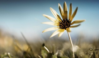 正能量简单一句话（正能量简单一句话精致女人）