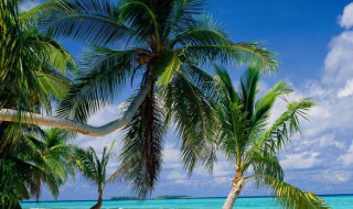 人生励志的句子 人生励志的句子经典语句