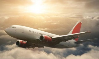 飞机上双肩包放哪里（坐飞机单肩包放在飞机哪个位置）