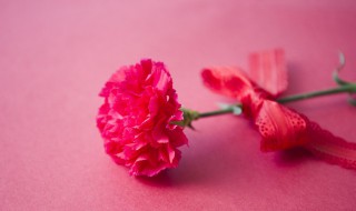 教师节适合送班主任什么花（适合送给班主任的花）