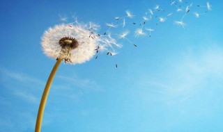 教师节的句子感谢老师的 教师节的句子感谢老师的话语