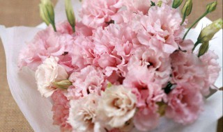 送妈妈生日礼物送什么好 送妈妈生日礼物送什么好便宜