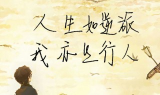 励志鸡汤（励志鸡汤语录）