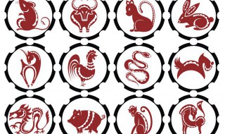 猴跟什么生肖配对最好 1992年属猴30岁以后命运如何