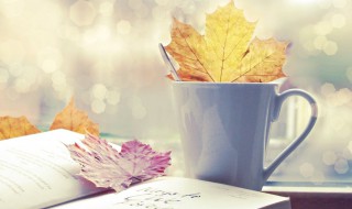 非主流的话（非主流伤感语录 葬爱繁体）