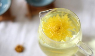 菊花泡水喝有什么好处（雪菊花泡水喝的功效与作用）