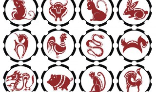 鸡和牛的属相合不合 鸡和鼠的属相合不合