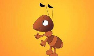 红火蚁咬伤怎么处理 被红火蚁咬伤该怎么办