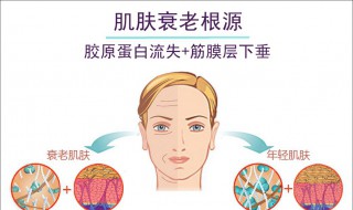 除皱的方法 除皱最好的方法