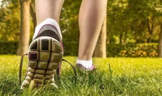 走路的好处 走路的好处和坏处