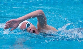 自由泳怎么游 蛙泳怎么游