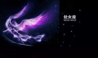 处女座男和什么座最配对（星座配对查询 男女）