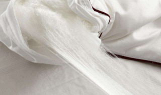 蚕丝被的好处和功效 蚕丝被的好处和坏处有哪些