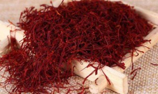 藏红花和红花的区别（藏红花和红花的区别与功效图片）
