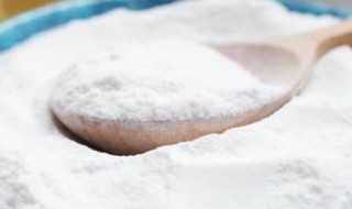 纯碱和小苏打的区别（纯碱和小苏打的区别去油污）