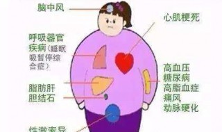 减肥不掉秤的十大原因 少吃加运动不掉秤的十大原因