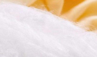 桑蚕丝和柞蚕丝的区别 天蚕丝和桑蚕丝区别