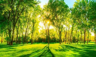 灰尘的好处 灰尘的好处有哪些