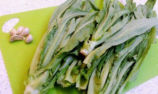 油麦菜的功效和禁忌（油麦菜的功效和禁忌是什么）