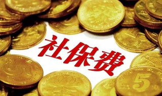 社保可以退吗 社保可以退吗怎么办理