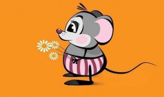 生肖鼠和什么生肖最配（生肖虎和什么生肖最配）