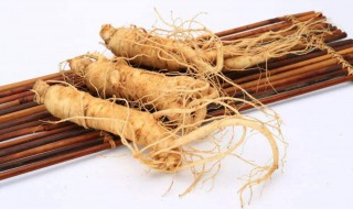 西洋参和人参的区别 西洋参和人参的区别在哪里